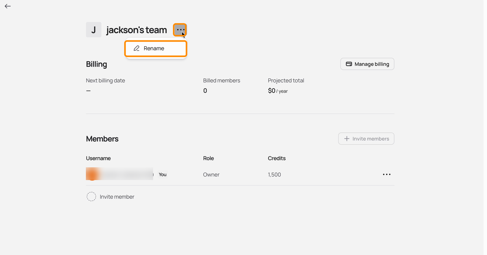 Team page with the menu next to the team name open and the Rename option highlighted
