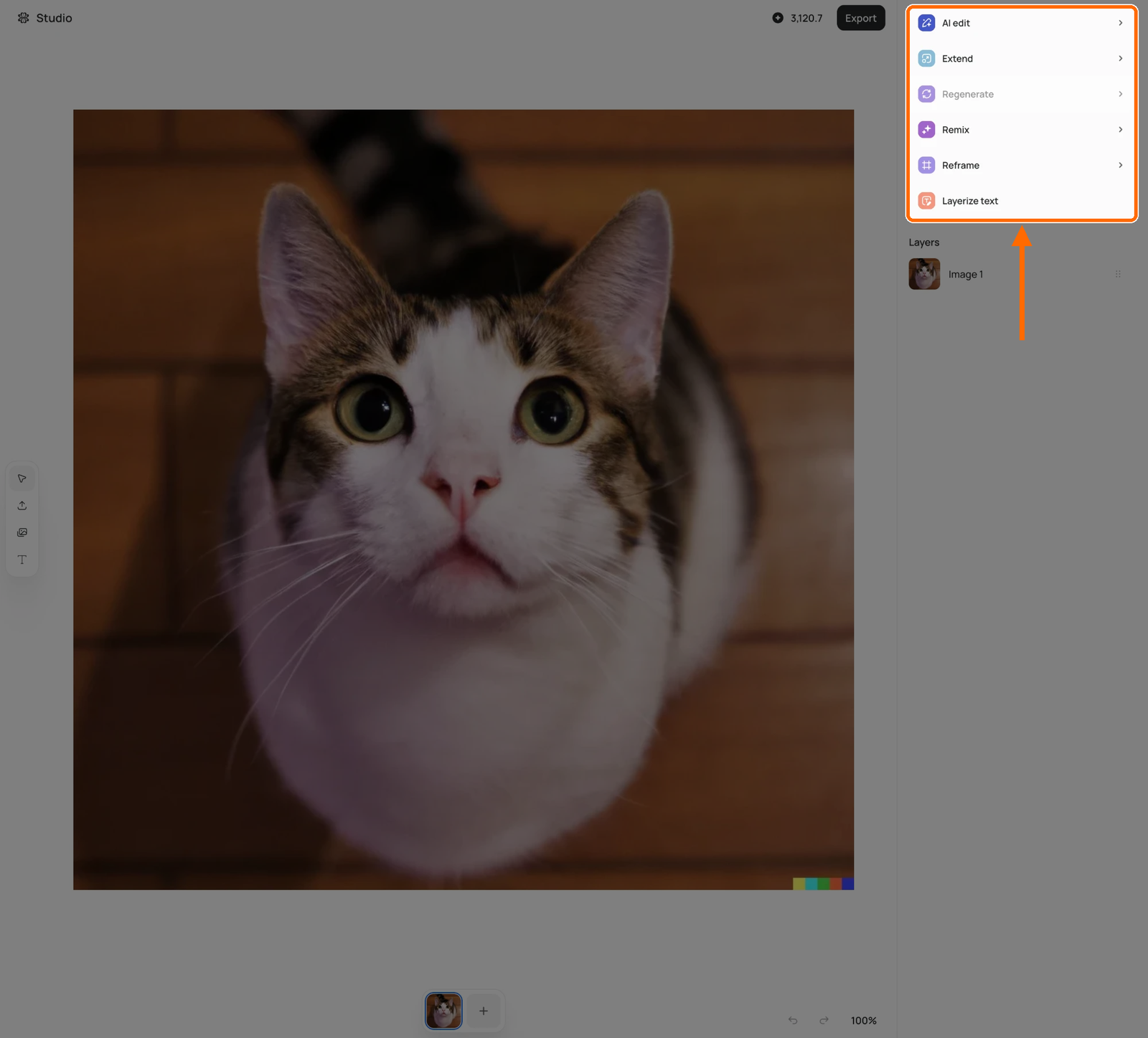Studio with an image on the canvas and nothing selected; the six canvas tools in the right sidebar are highlighted above the Layers list, with the left toolbar and version strip also visible