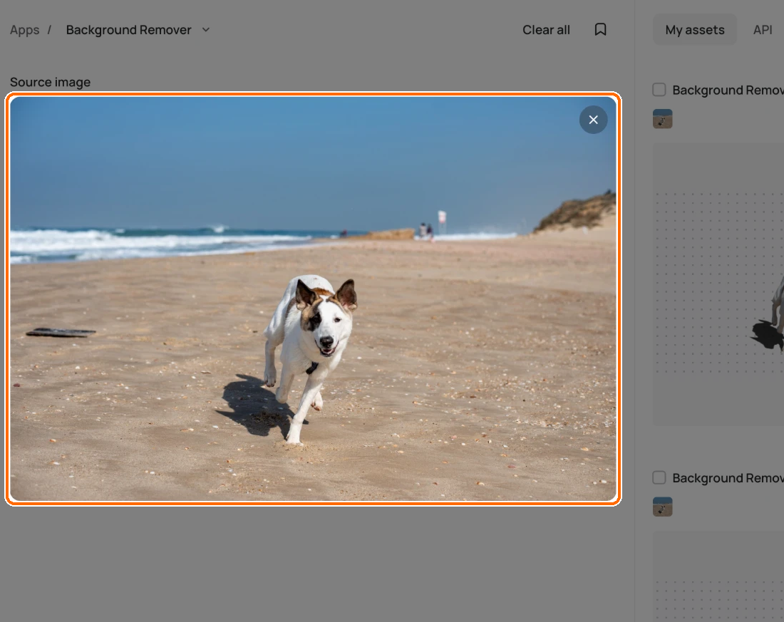 Background Remover app with a photo of a dog on a beach in the highlighted Source image box.
