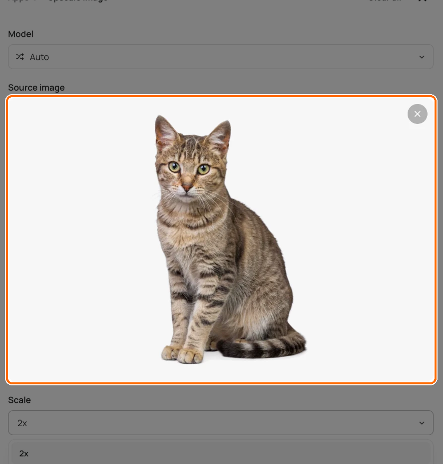 Upscale app with a cat photo in the highlighted Source image box.