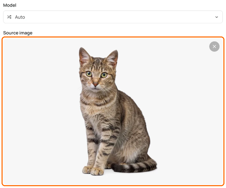 Remix app with a cat photo loaded in the highlighted Source image box, under the Model picker set to Auto.