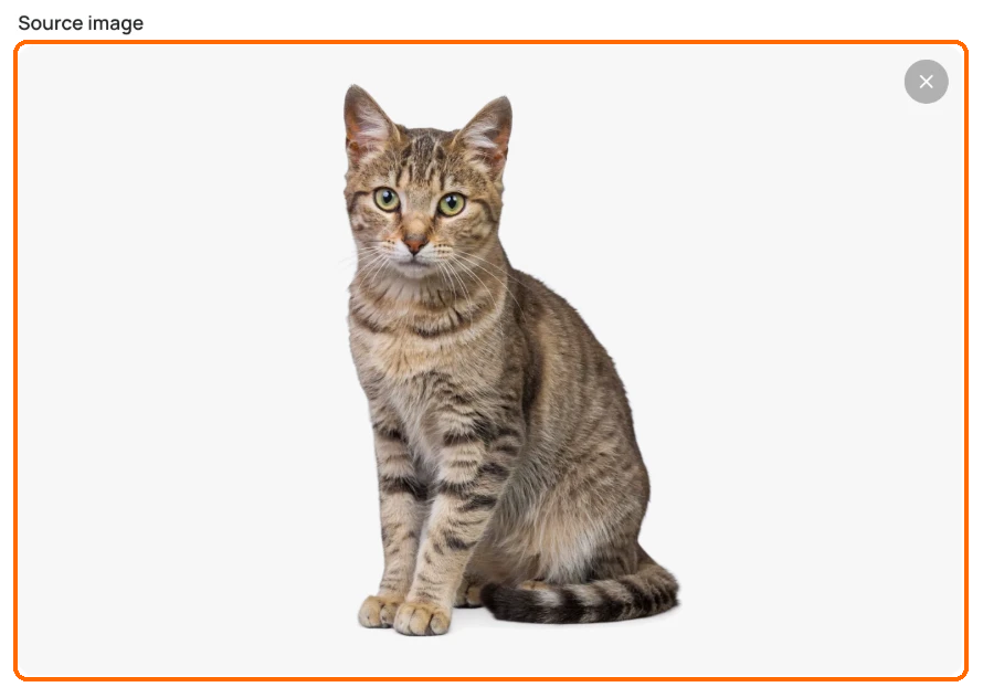 Upscale app with a cat photo in the highlighted Source image box.