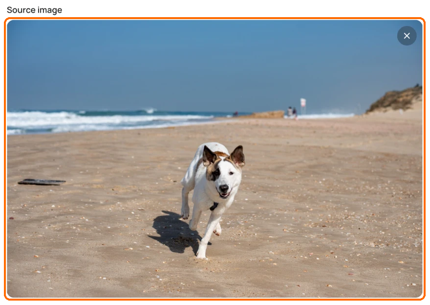 Background Remover app with a photo of a dog on a beach in the highlighted Source image box.
